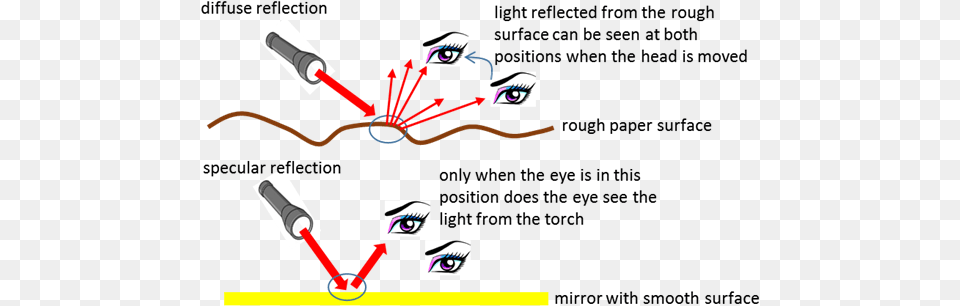 Visual Physics Online Rays Of Light, Face, Head, Person Png Image