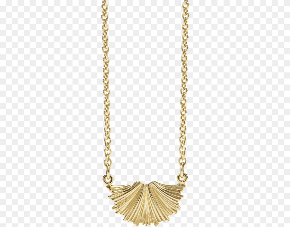 Vita Necklace Chain, Accessories, Jewelry, Gold Free Transparent Png