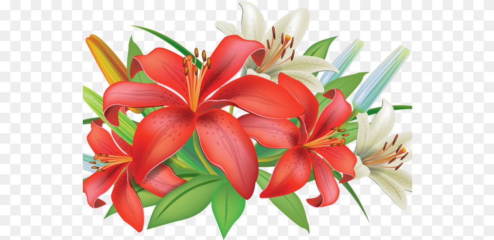 Vitannya Z Dnem Kooperatora, Flower, Flower Arrangement, Flower Bouquet, Plant Png
