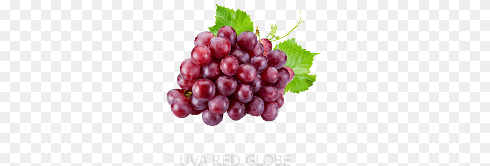 Vitis Vinifera Seed Extract, Food, Fruit, Grapes, Plant Png