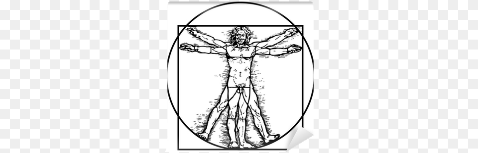Vitruvian Man, Cross, Symbol, Person, Art Free Transparent Png