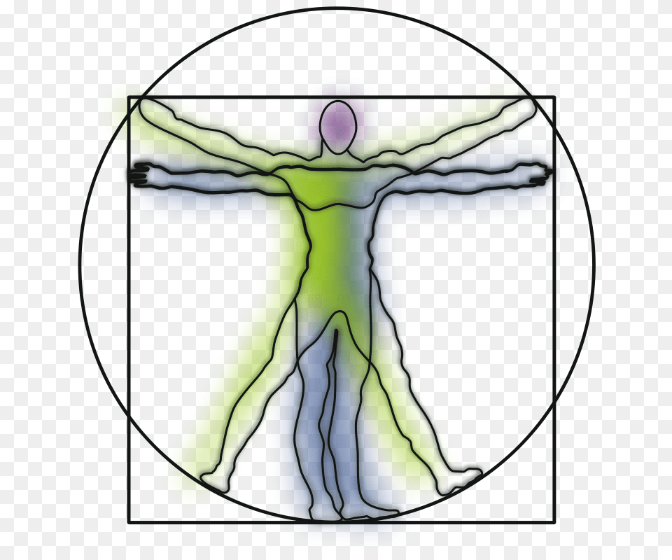 Vitruvian Man, Cross, Symbol, Ct Scan, Person Free Png Download