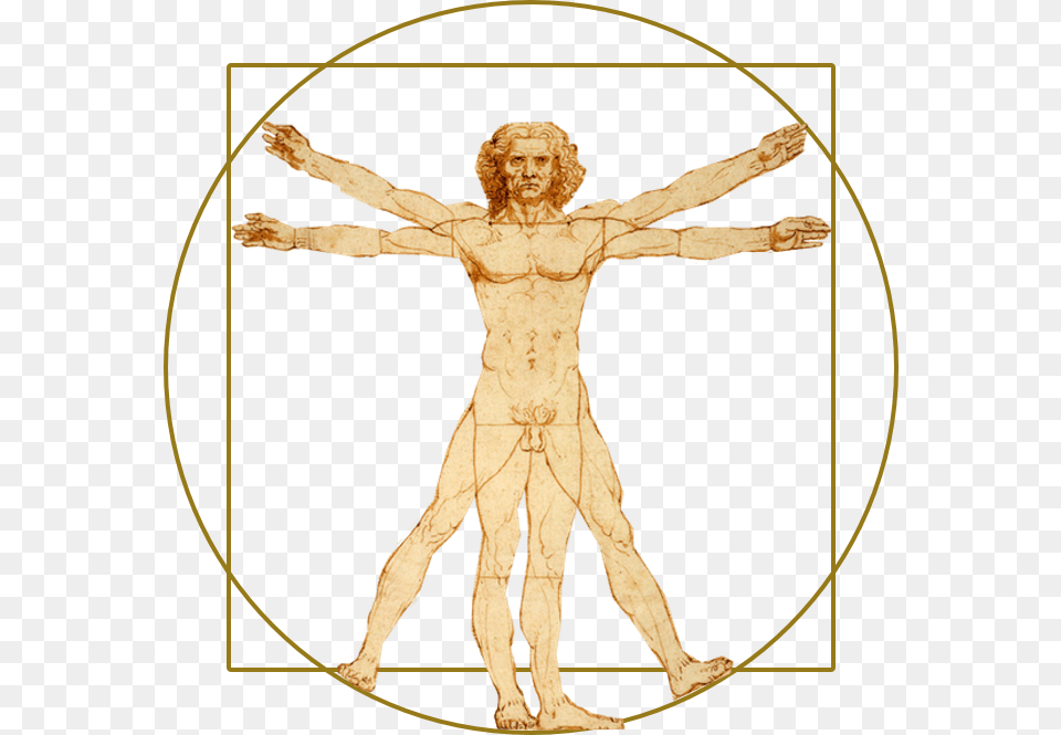 Vitruvian Man, Cross, Symbol, Person, Face Free Png Download