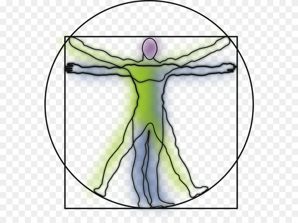 Vitruvian Man Anatomy Science Leonardo Da Vinci Line Art Vitruvian Man, Cross, Symbol, Ct Scan Free Transparent Png