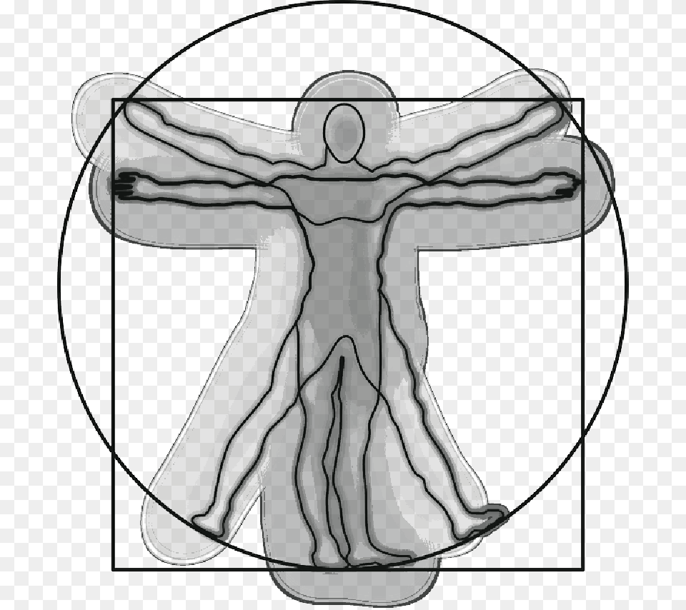 Vitruvian Man Anatomy Science Leonardo Da Vinci Vitruvian Man, Cross, Symbol, Bow, Weapon Png