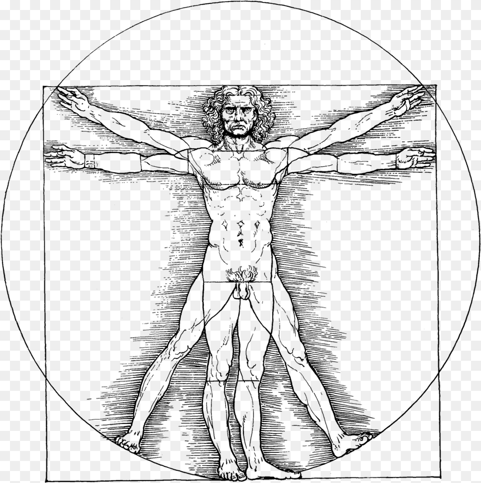 Vitruvian Man Da Vinci Vitruvian Man, Gray Free Transparent Png