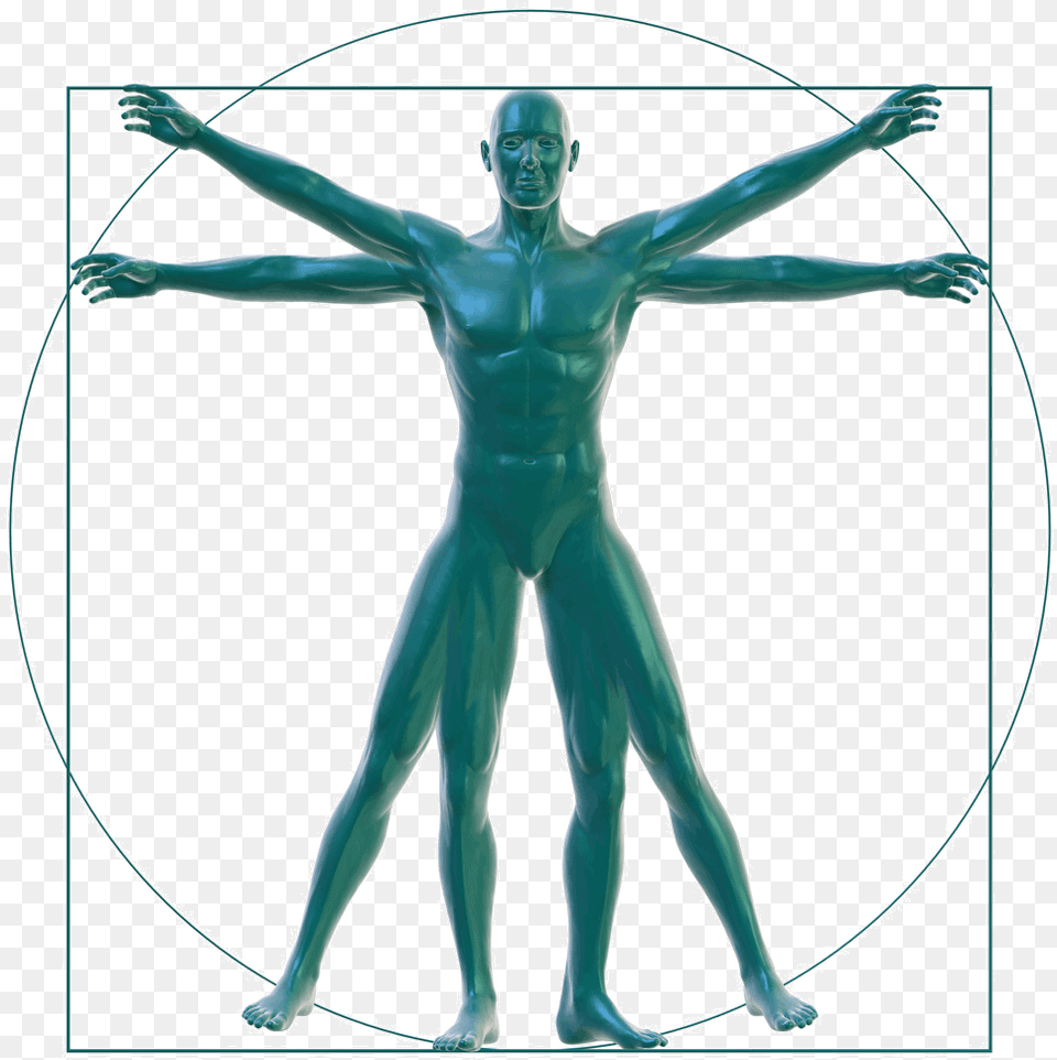 Vitruvian Man On White Holistic Man, Person, Cross, Symbol, Face Png