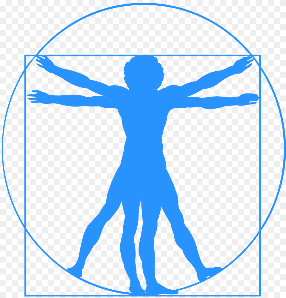 Vitruvian Man Silhouette, Person, Back, Body Part, Cross Free Transparent Png