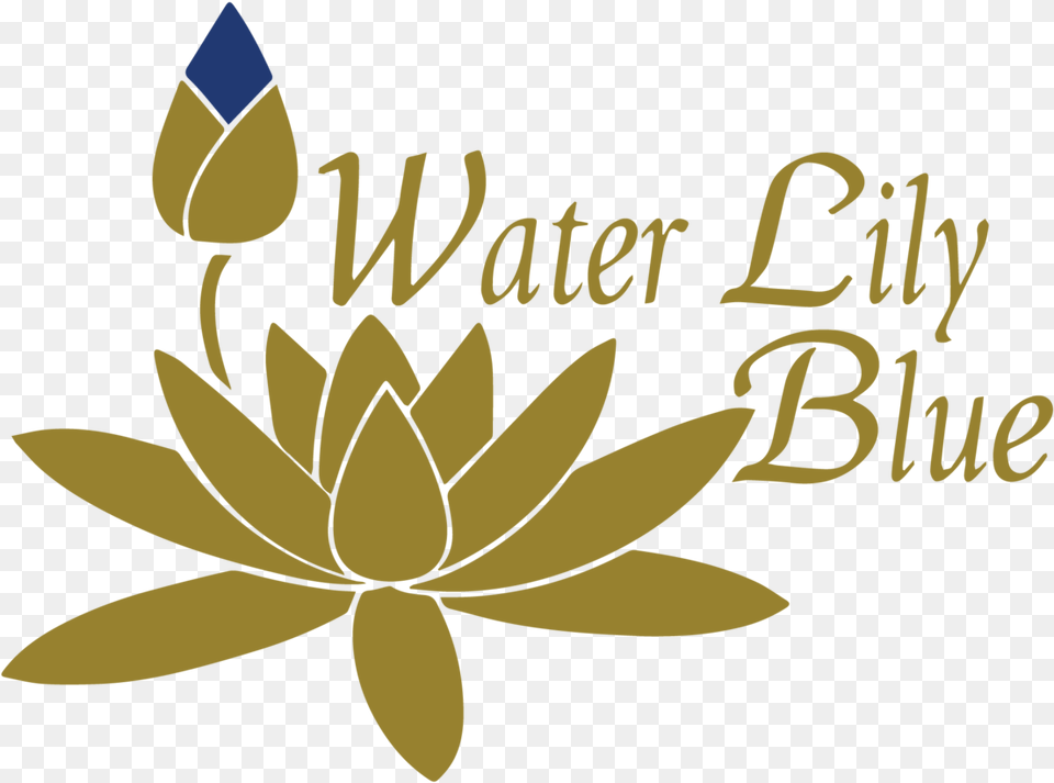 Vitruvian Man U2013 Water Lily Blue Blue Water Lily Logo, Flower, Plant, Petal, Animal Free Png Download
