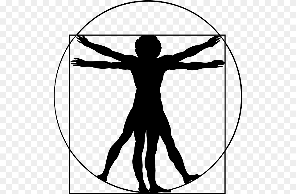 Vitruvian Man Vector Free, Gray Png