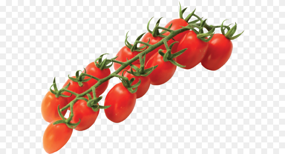 Vittoria Tomatoes Home Eng Vittoria Tomato, Food, Plant, Produce, Vegetable Free Transparent Png