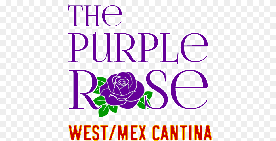Viva La Purple Rose West Mex U0026 Cantina U2013 Just Another Hybrid Tea Rose, Flower, Plant, Text, Art Free Png Download