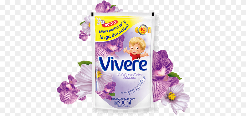 Vivere Violetas Y Flores Blancas, Flower, Plant, Petal, Baby Free Png Download