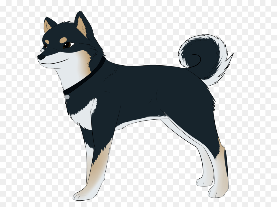 Vivianne The Shiba Inu, Animal, Canine, Dog, Husky Png