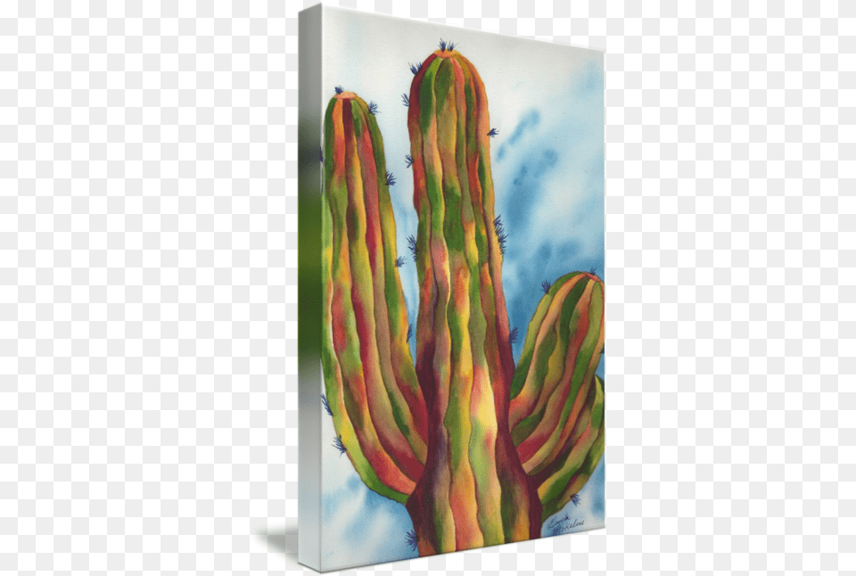 Vivid And Majestic Saguaro Cactus Watercolor Art By Gayela Chapman Mckelvie San Pedro Cactus, Plant Png