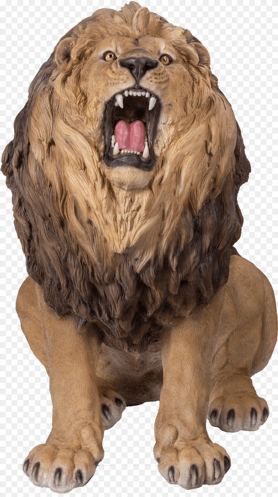 Vivid Arts Lion Png Image