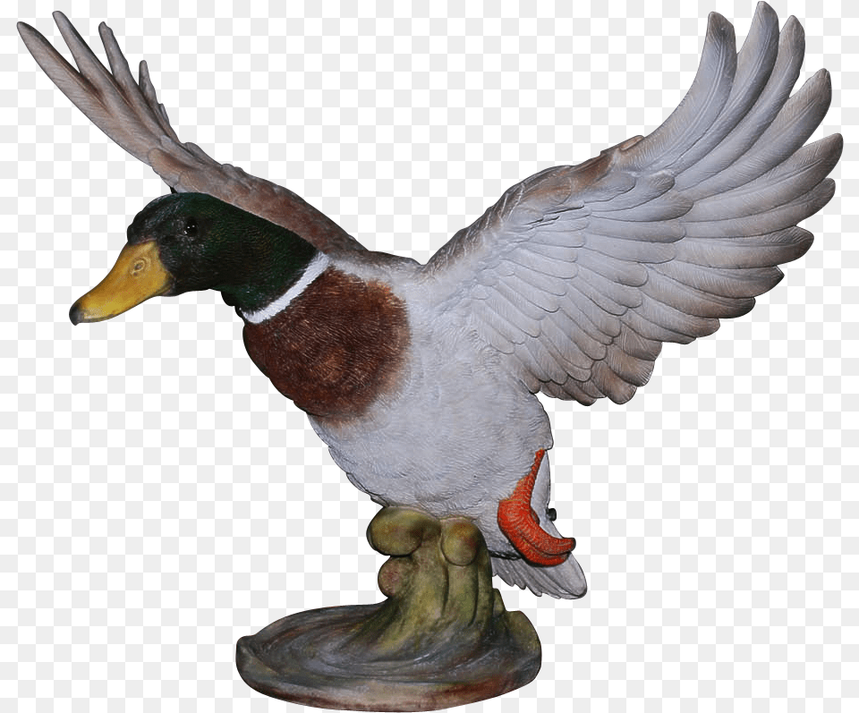 Vivid Arts Resin Flying Duck Medium Mallard, Animal, Anseriformes, Bird, Waterfowl Png