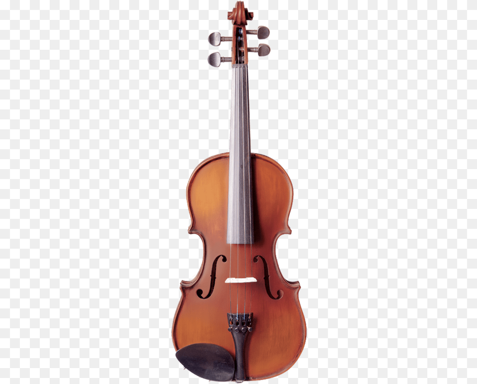 Vivo Neo Student Violin 12 Outfit Klaus Mueller Bucharest Violin, Musical Instrument, Cello Png