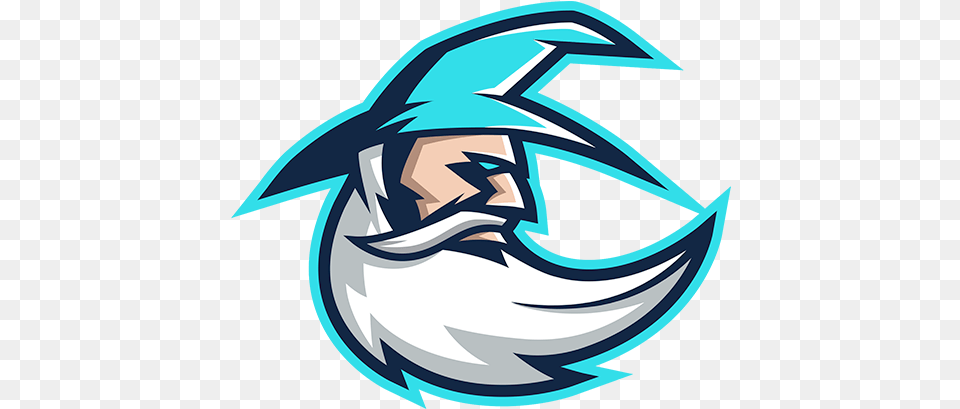 Vizard Esports Logo 2 Wizard Esports Logo, Animal, Fish, Sea Life, Shark Png Image