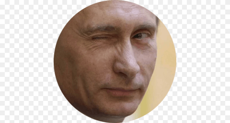 Vladimir Putin, Sad, Face, Frown, Head Png