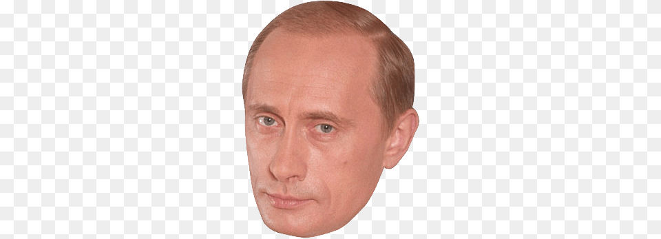 Vladimir Putin, Face, Portrait, Head, Photography Free Png