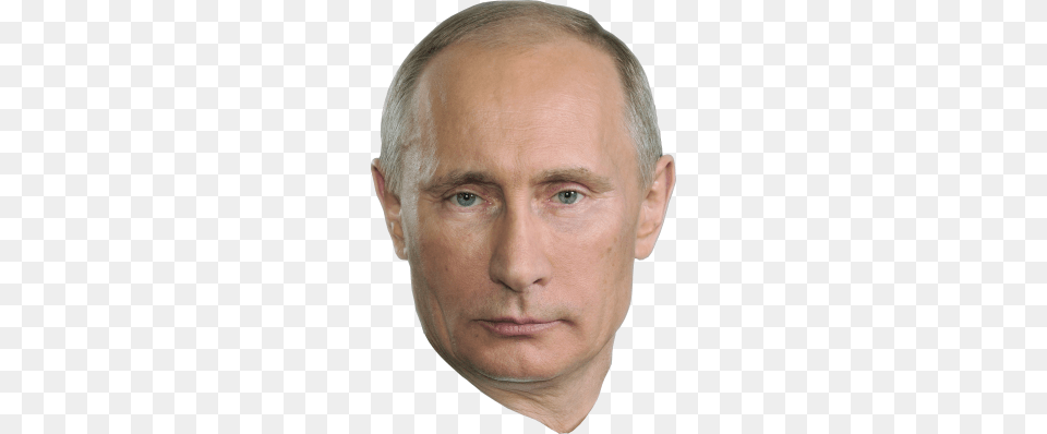 Vladimir Putin, Adult, Portrait, Photography, Person Png Image