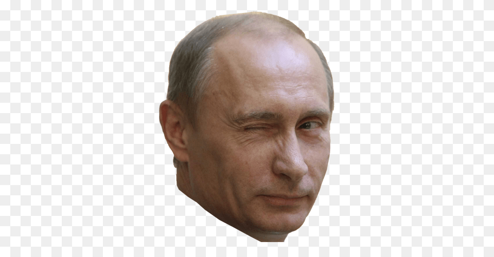 Vladimir Putin, Adult, Portrait, Photography, Person Free Png