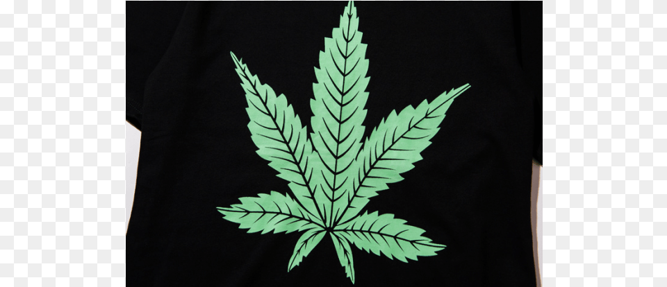 Vlone Rapper T Shirt Fern, Leaf, Plant, Weed, Person Free Png Download