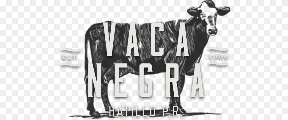 Vnvi Vaca Negra Hatillo Puerto Rico, Text, Scoreboard, Alphabet Free Png Download