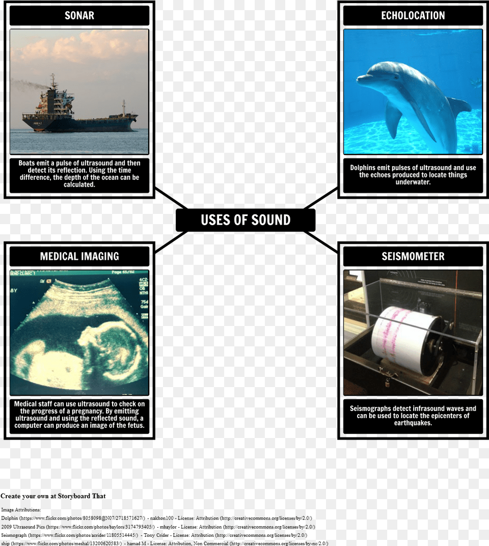 Vocabulary, Boat, Vehicle, Transportation, Animal Png