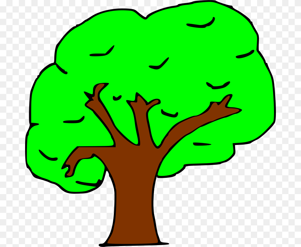 Vochoman Arbol, Plant, Tree, Baby, Person Png