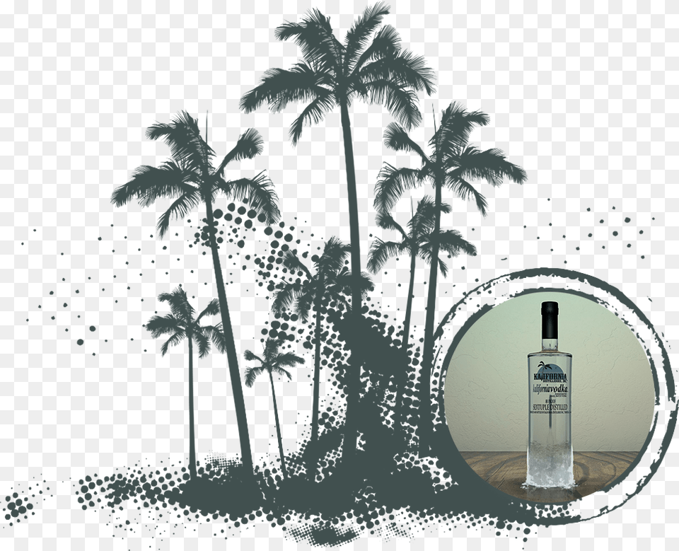 Vodka Text Vodka Palms Best Of Tropical House The Ultimate Playlist Compilation, Bottle, Alcohol, Beverage, Liquor Free Png