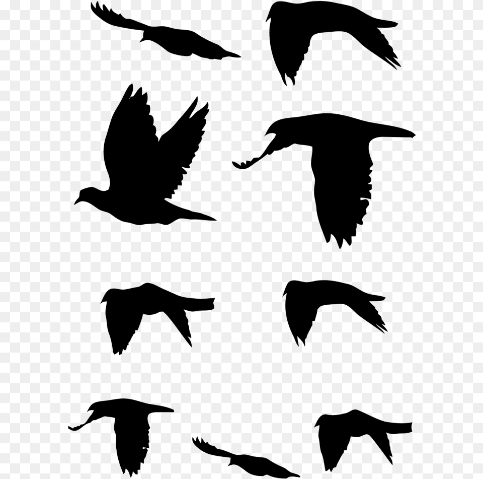 Vogelschwarm Tattoo, Gray Png