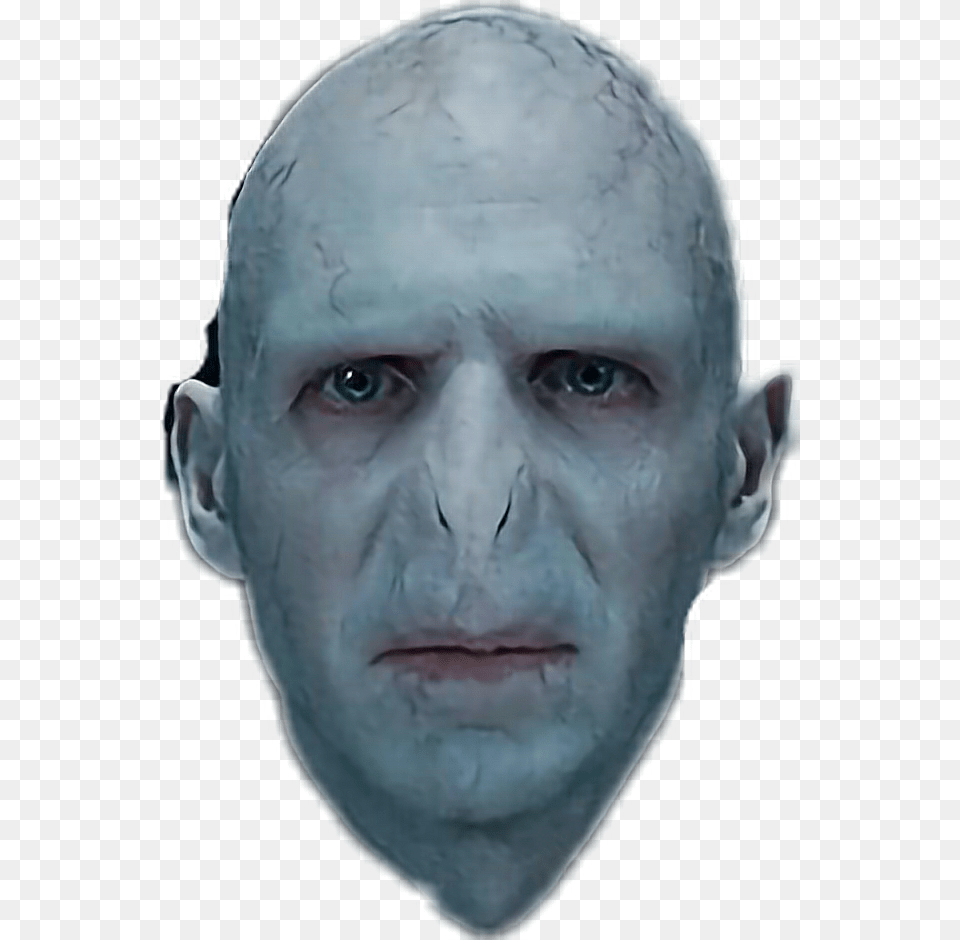 Voldemort, Adult, Face, Head, Male Free Png