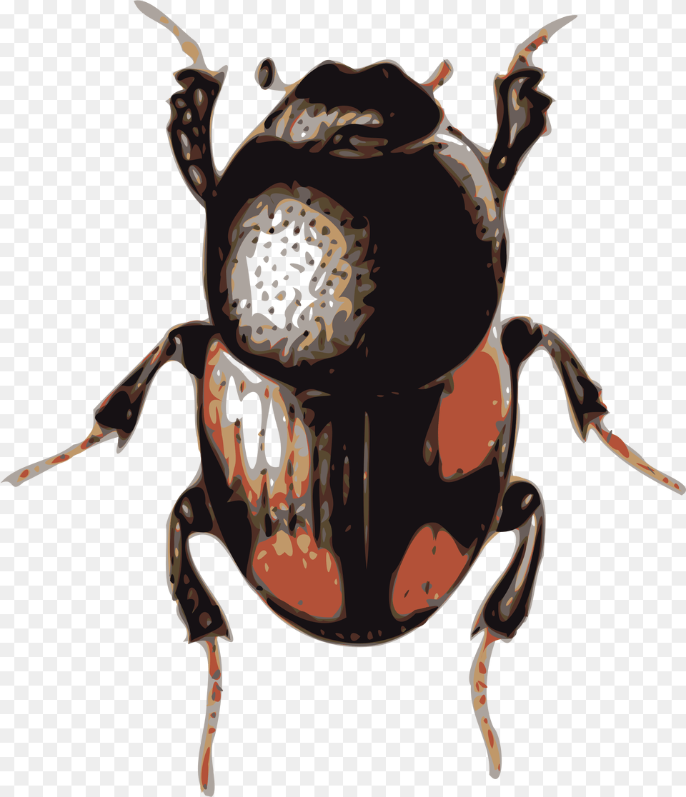 Volkswagen Beetle Clip Art Beetle Clipart, Animal, Dung Beetle, Insect, Invertebrate Free Png