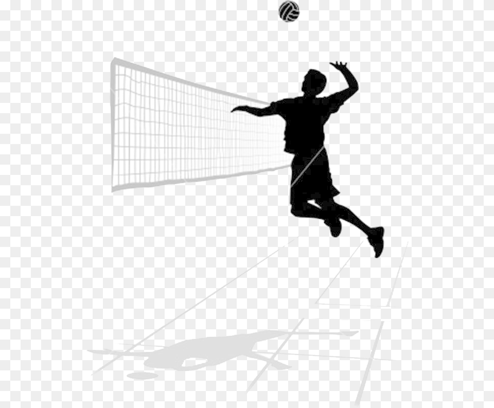 Volley Ball, Person, Sport, Tennis, Tennis Ball Png