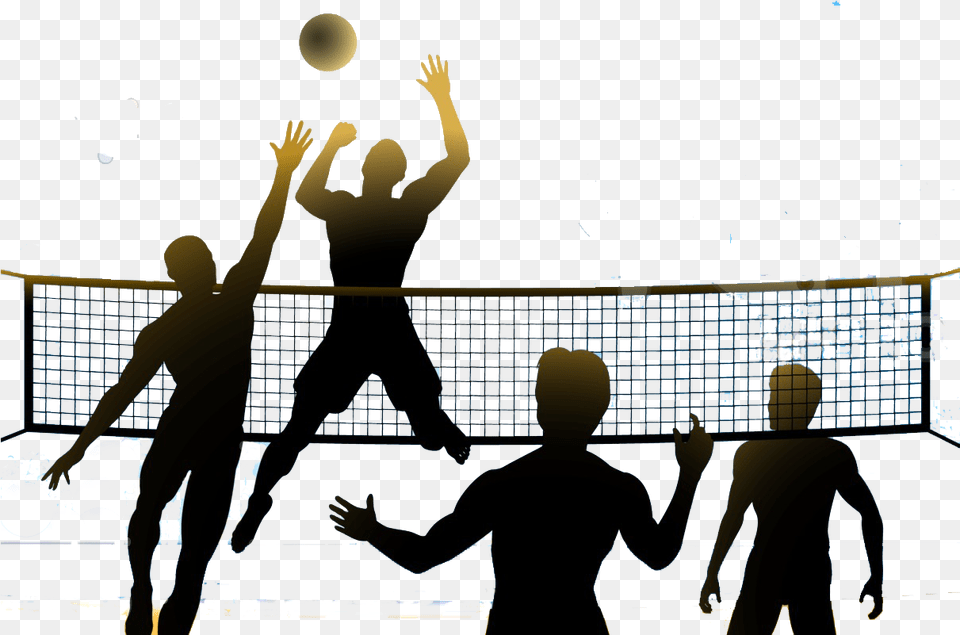 Volleyball 4 Image Volleyball, Person, Adult, People, Male Free Png Download