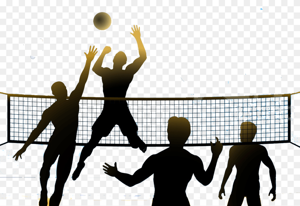Volleyball, People, Ball, Handball, Sport Free Png