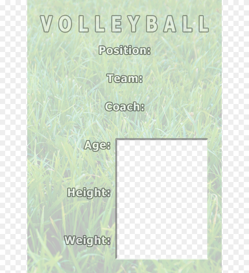 Volleyball Back Volleyball, Grass, Plant, Lawn, Vegetation Free Transparent Png