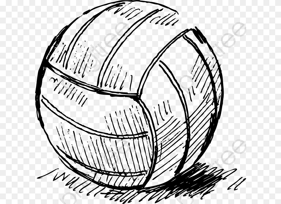 Volleyball Clipart Drawing Of Physical Education, Gray Free Png