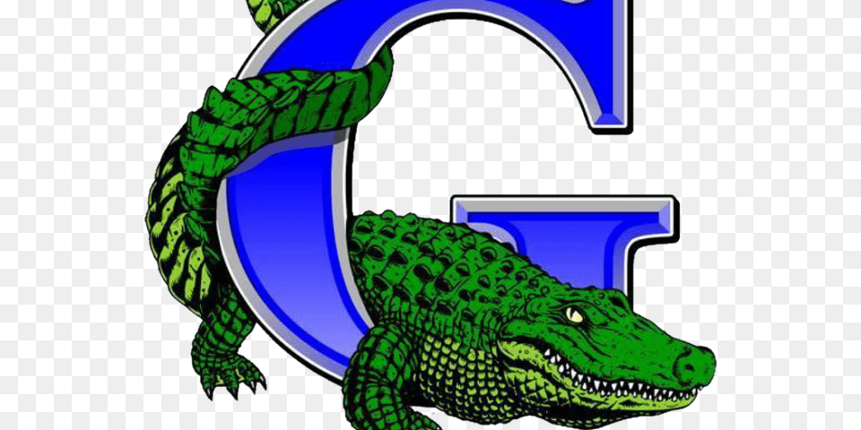 Volleyball Clipart Gator Palm Beach Gardens Gators Logo, Animal, Crocodile, Reptile, Dinosaur Png Image