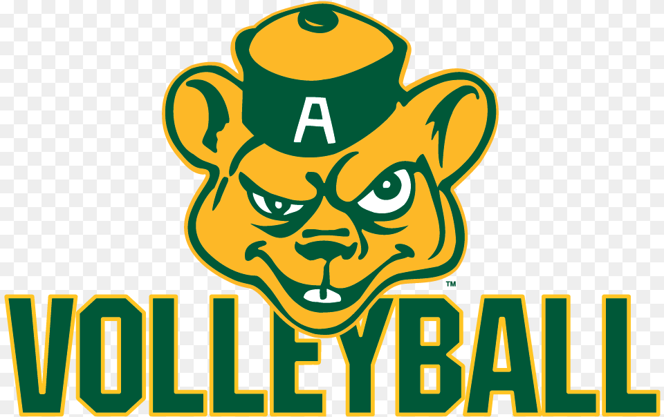 Volleyball Green And Gold Sport System Alberta Golden Bears, Baby, Person, Clothing, Hat Free Png