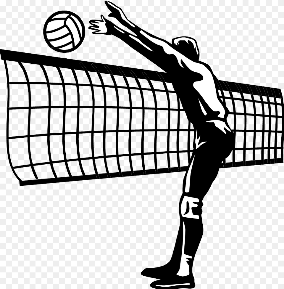 Volleyball Net Hd Pluspng Volleyball Spike, People, Person, Adult, Male Png