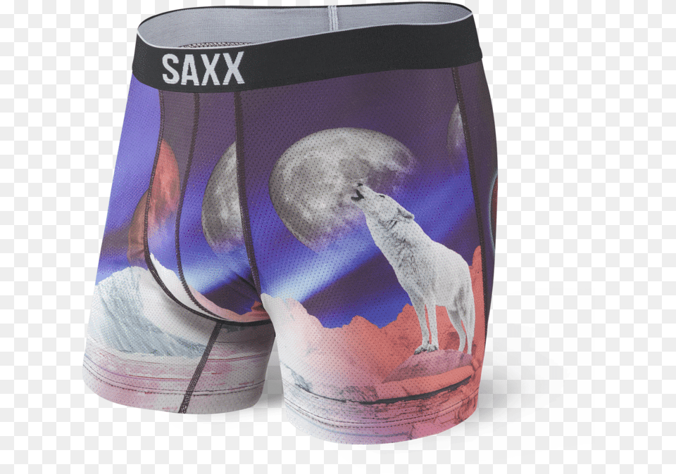 Volt Saxx Volt Boxer Brief, Clothing, Underwear, Animal, Bird Png