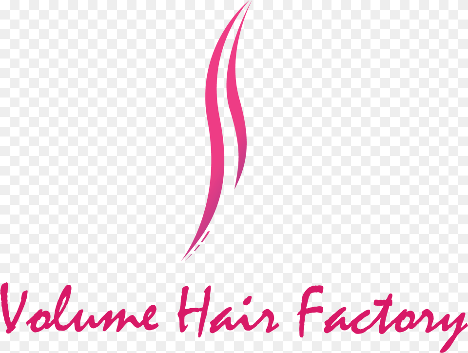 Volume Hair Factory Hugo A Owens Middle School, Text Png Image