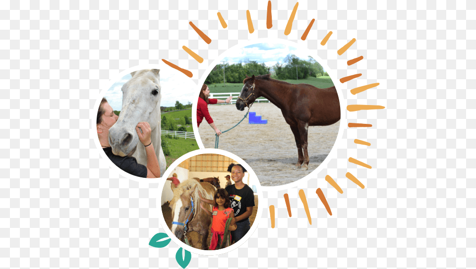 Volunteer New Day Ranch Sorrel, Adult, Person, Mammal, Horse Png Image