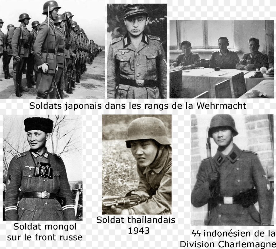 Volunteers Asian Nazi, Adult, Person, Man, Male Free Transparent Png