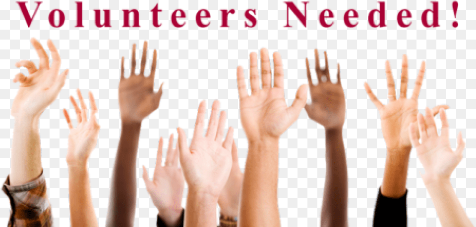 Volunteers To Represent A Questions Student, Body Part, Finger, Hand, Person Png Image