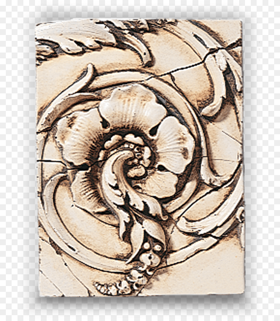 Volute, Art, Adult, Bride, Female Png