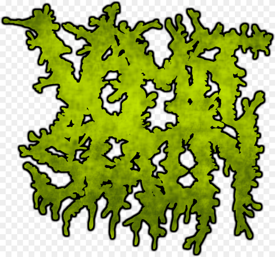Vomit Stain Puke Stain Moss, Plant, Leaf, Accessories Free Transparent Png